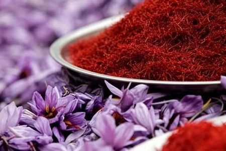 پیشبینی برداشت یک تن زعفران در سلسله
