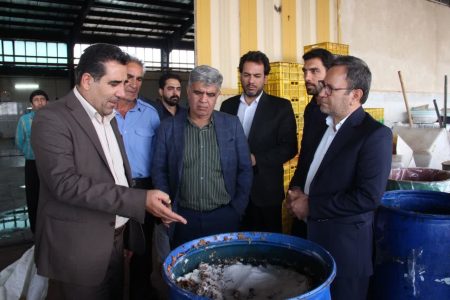 احیای یک واحد راکد صنایع تبدیلی در بروجرد