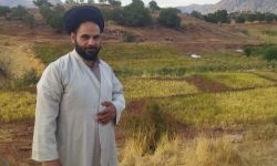 طلای سرخ به‌جای افیون سیاه؛طلبه کشاورز لرستانی به‌دنبال ثبت رکورد جهانی زعفران