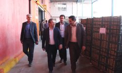 صدور مجوز ۱۷۰ هزار تُن سردخانه در لرستان
