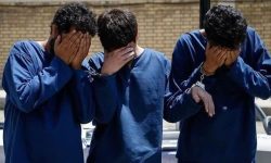 دستگیری سه سارق تجهیزات مخابراتی در چگنی